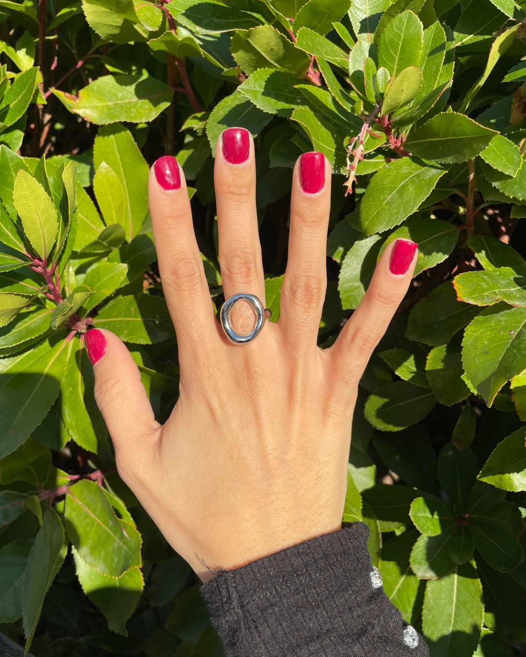 Anillo Artemisa