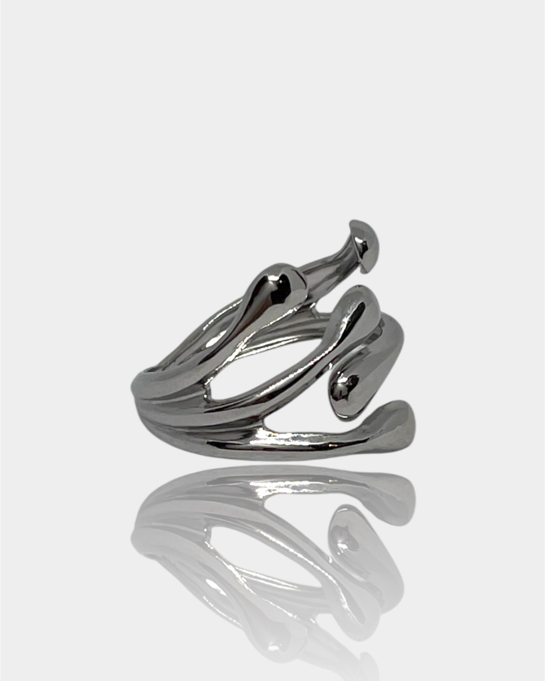 Anillo Fluvia